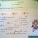 Cléo - accord adjectif avec le nom