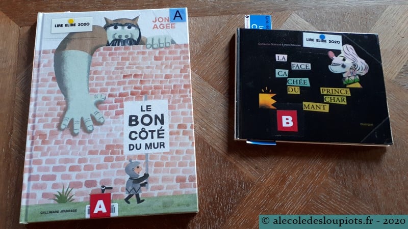 Lire élire